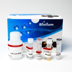 Caspase-8 IETD-R110 Fluorometric and Colorimetric Assay Kit