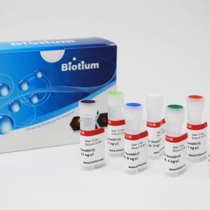 AccuBlue® High Sensitivity dsDNA Standards, Set of Eight