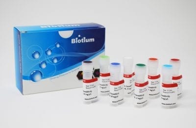 AccuBlue® High Sensitivity dsDNA Standards, Set of Eight