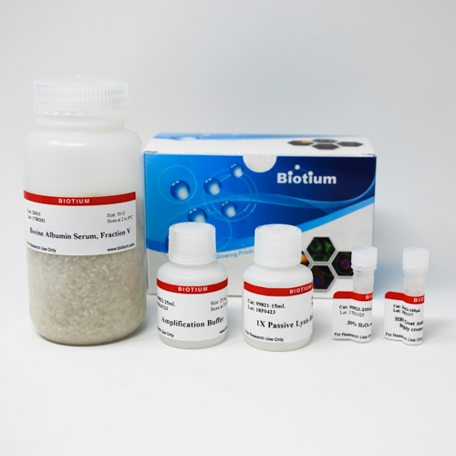 Tyramide Amplification Kit with HRP Goat AntiRabbit and CF® Dye or