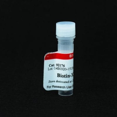 Biotin-XX Tyramide
