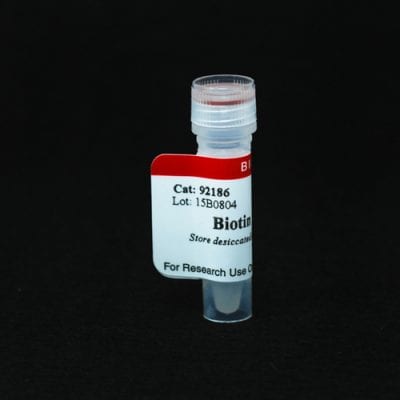 Biotin Picolyl Azide