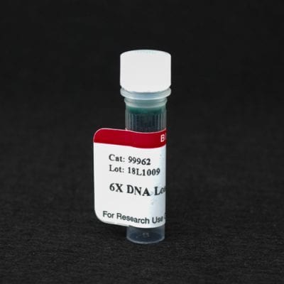 6X DNA Loading Buffer (Blue)