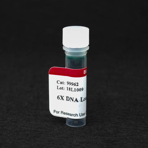 Loading buffer. 6x DNA loading Dye 1% SDS. X DNA Gel.