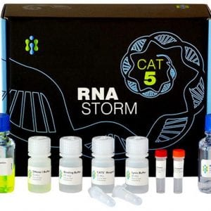 RNAstorm™ Kit for Isolation of RNA from FFPE Tissue Samples