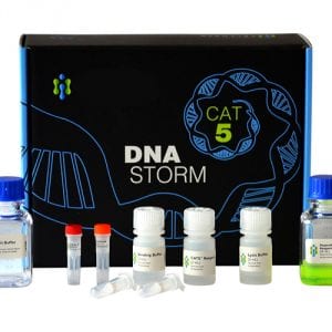 DNAstorm™ Kit for Isolation of DNA from FFPE Tissue Samples