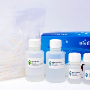 CELLDATA RNAstorm™ Fresh Cell and Tissue RNA Isolation Kit