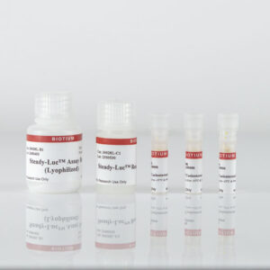 Steady-Luc™ Firefly HTS Assay Kit (Lyophilized)