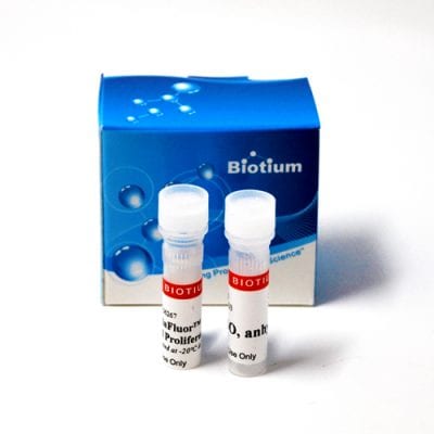 ViaFluor® SE Cell Proliferation Kits