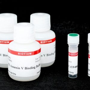 CF®488A Annexin V and PI Apoptosis Kit