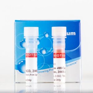 NucView® 488 and MitoView™ 633 Apoptosis Assay Kit