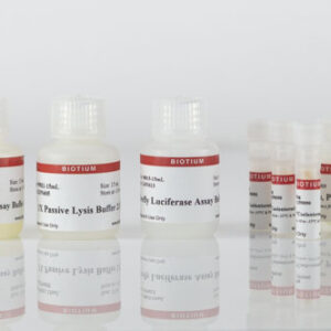 Firefly & Renilla Luciferase Single Tube Assay Kit