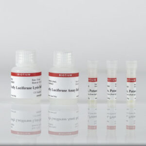 Firefly Luciferase Assay Kit 2.0
