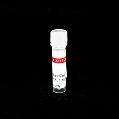 RNase-Free Calf Thymus DNA, 1 mg/mL