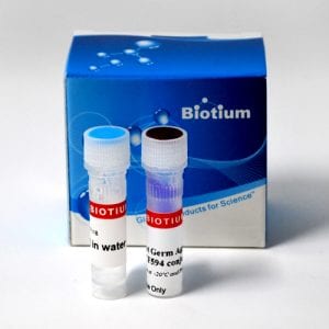 Live Bacterial Gram Stain Kit - Biotium