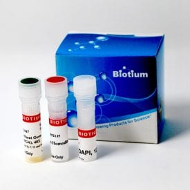 Bacterial Viability and Gram Stain Kit - Biotium