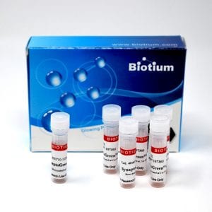 SynaptoGreen™ C2 (Equivalent to FM®2-10)