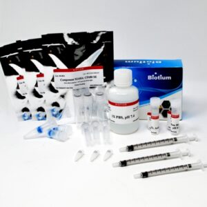 VivoBrite™ Rapid Antibody Labeling Kits for Small Animal In Vivo Imaging