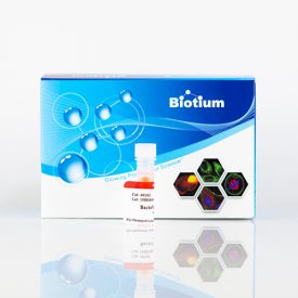 BactoView™ Live Fluorescent Bacterial Stains - Biotium