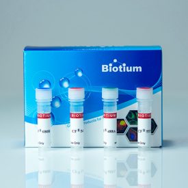 CF® Dye Hydrazide - Biotium