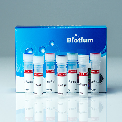 Cholera Toxin Subunit B Cf® Dye Conjugates Biotium