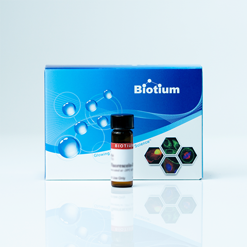 Ethidium Monoazide Bromide (EMA) - Biotium