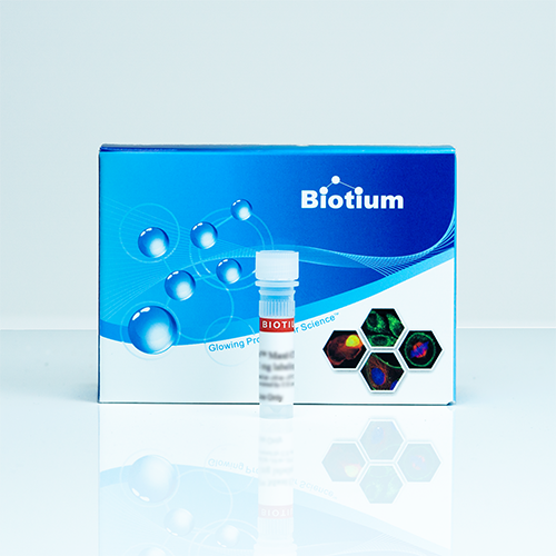 Biotin-20-dUTP, 1 mM Solution