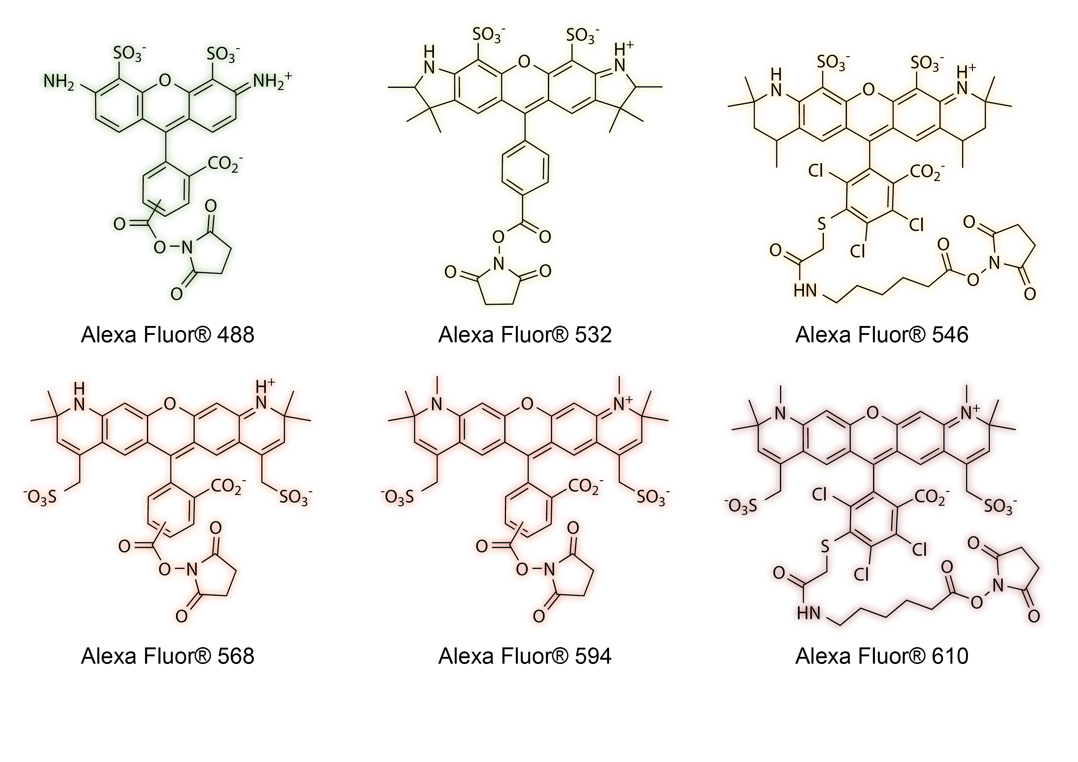 CF® Dyes. What started it all? Part 1. A History of Fluorescence - Biotium