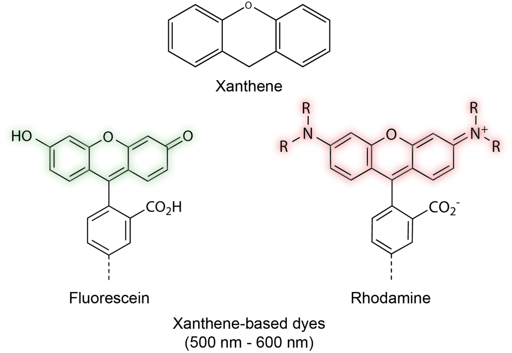 CF® Dyes. What Started It All? Part 1. A History Of Fluorescence - Biotium