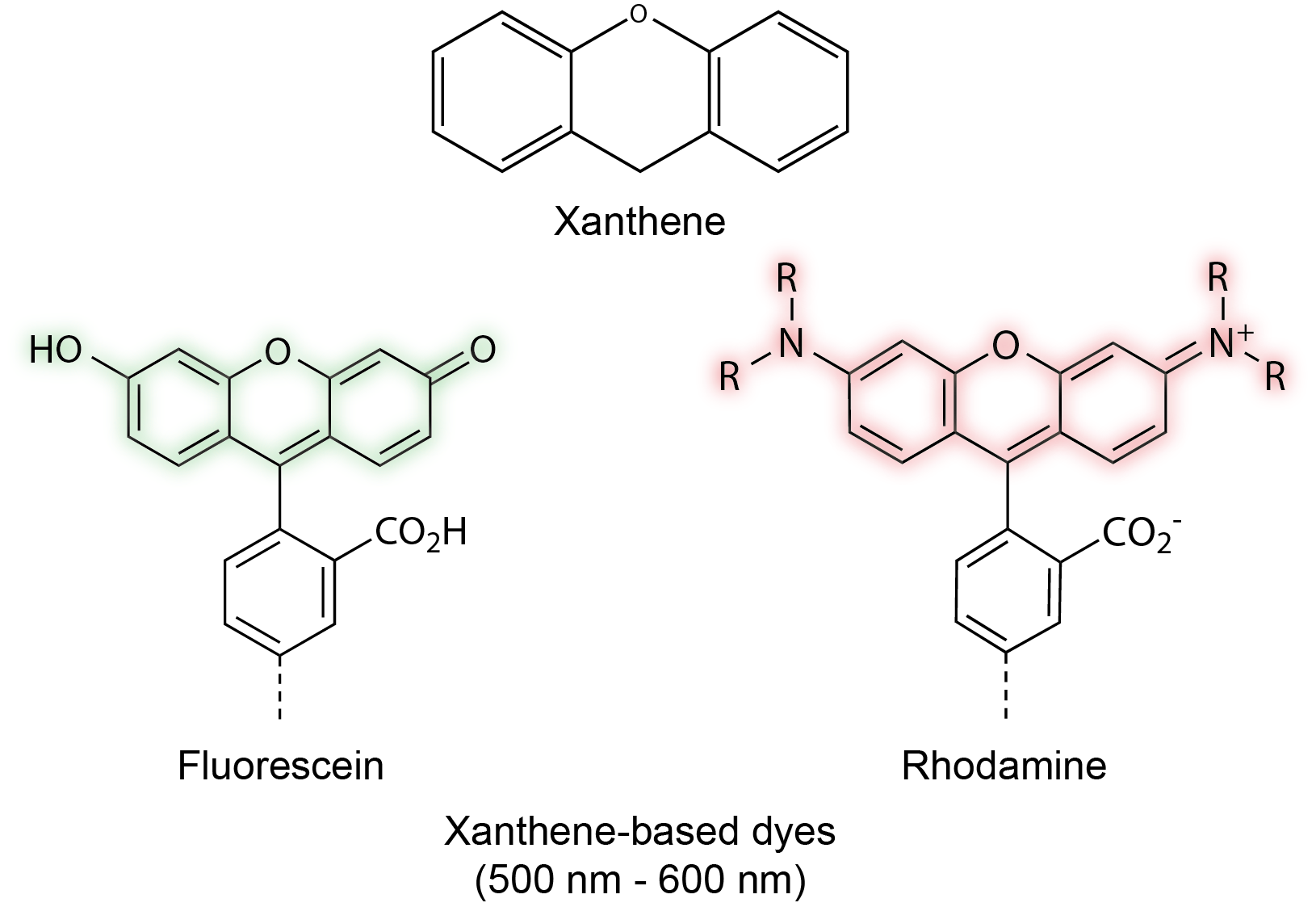 Fluorescent Dyes, Science Lab