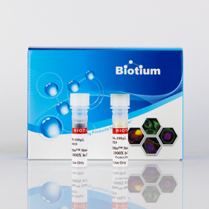 CellBrite® Steady Membrane Staining Kits - Biotium