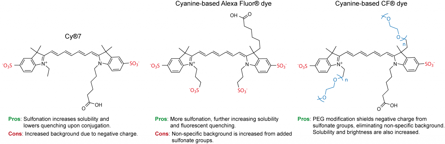 CF® Dyes. What Started It All? Part 2. The Chemistry Of Fluorescence ...