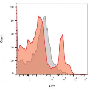 CD19 Monoclonal Mouse Antibody (PDR134)