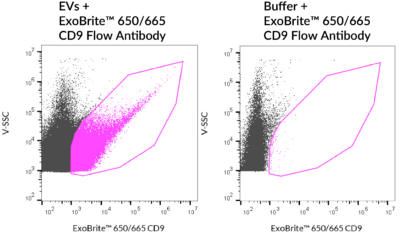 ExoBrite™ CD9 Flow Antibody - Image 6