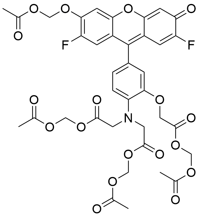 Fluo-4, AM, cell permeant