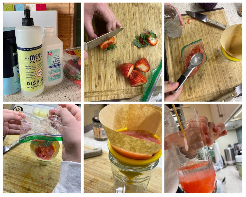 Easy And Fun Science Experiments To Try With Kids At Home Biotium Easy And Fun Science Experiments To Try With Kids At Home Biotium