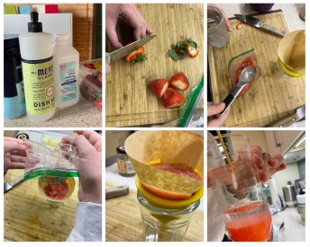 Steps during the DNA purification from strawberries