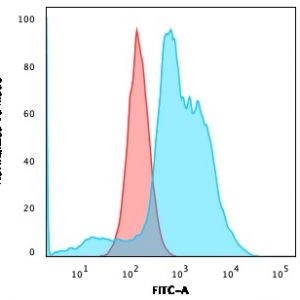 Flow Cytometric Analysis of SKBR-3 cells using B7-H4 Mouse Monoclonal Antibody (B7H4/1788) followed by CF®488A goat anti-mouse IgG (Blue); Isotype Control (Red).