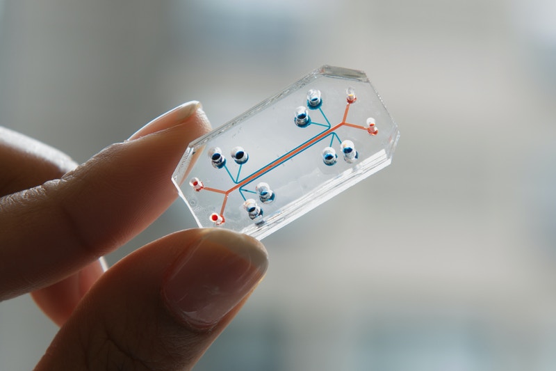 Scaling Down to Go Big: An Overview of the Lab-on-a-Chip - Biotium