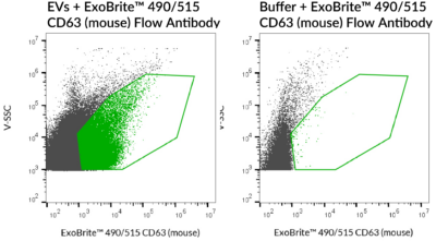 ExoBrite™ CD63 Flow Antibody - Image 3