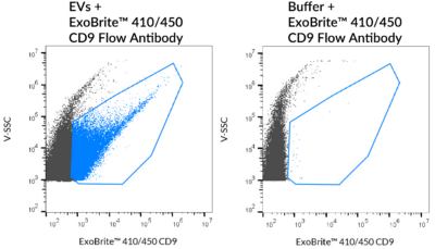 ExoBrite™ CD9 Flow Antibody - Image 2