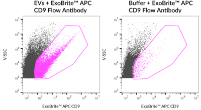 ExoBrite™ CD9 Flow Antibody - Image 8