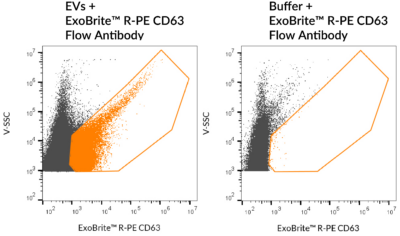 ExoBrite™ CD63 Flow Antibody - Image 4