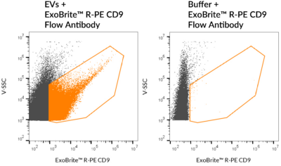 ExoBrite™ CD9 Flow Antibody - Image 5