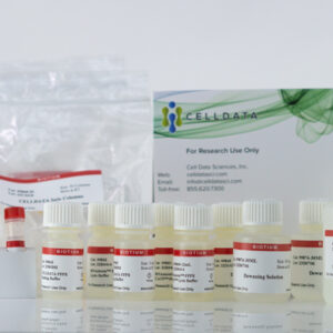 CELLDATA DNAstorm™/RNAstorm™ 2.0 Combination Kit