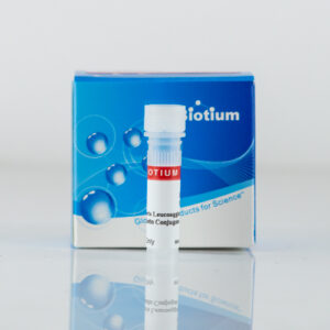 Phaseolus Vulgaris Leucoagglutinin (PHA-L) Conjugates