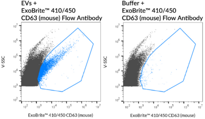 ExoBrite™ CD63 (Mouse) Flow Antibody - Image 2