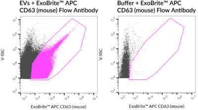 ExoBrite™ CD63 (Mouse) Flow Antibody - Image 7