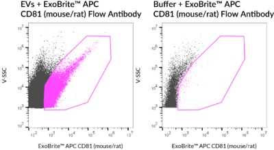 ExoBrite™ CD81 (Mouse/Rat) Flow Antibody - Image 7