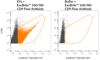 ExoBrite™ CD9 Flow Antibody - Image 4